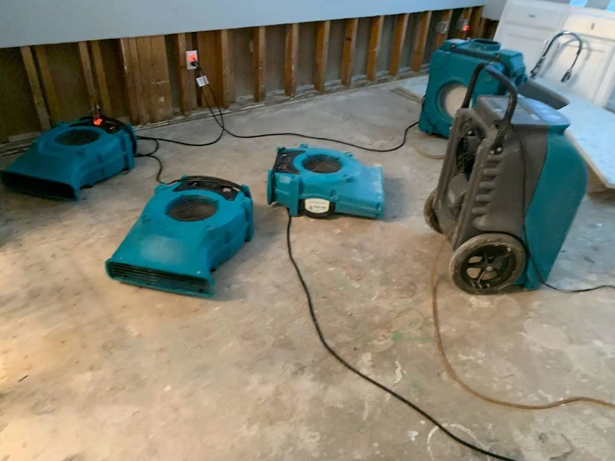 Water Damage Restoration services in Bloomer, MI